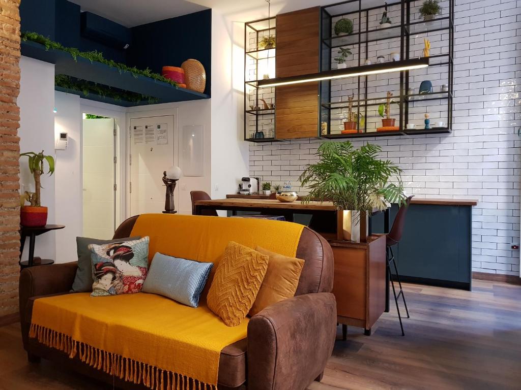 A&N Collectorimagen principal