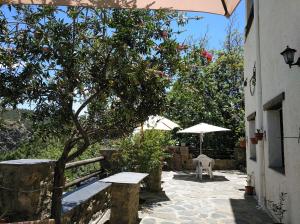 ImagenEl Vergel de Berchules 4