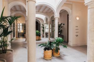 ImagenPlácido y Grata 8