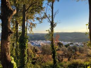 ImagenVereda De Las Cruces 4