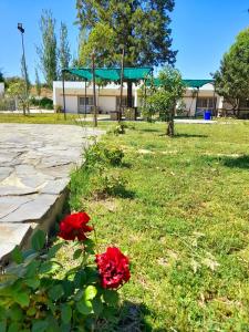 ImagenVereda De Las Cruces 7