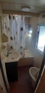 ImagenCamping Cases 6