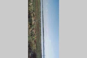 ImagenCasita de campo con vistas a una laguna 5