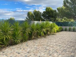 ImagenLa madriguera 5