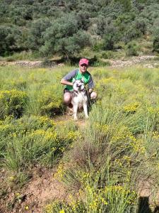 ImagenLA COVETA - Aptos. Vilapart 4