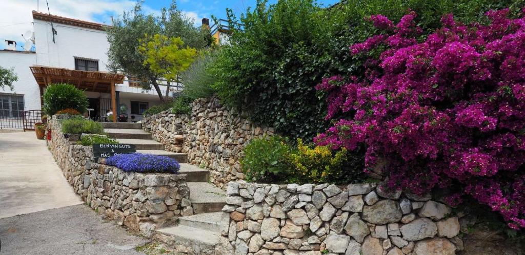 Mas Rosichimagen principal