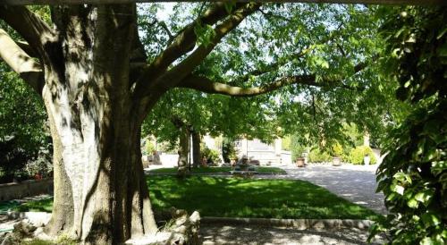 ImagenFinca MICALAS 1