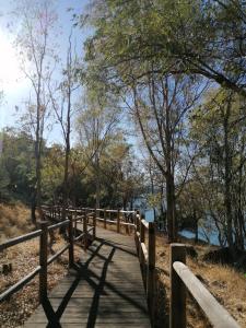 ImagenAmbroz y Plata 8