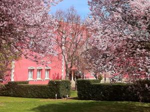 ImagenHotel San Camilo 5