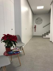 ImagenApartamentos Estemar 6