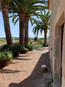 ImagenFinca Lavanda hosted by Nicholas 5