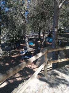 ImagenCamping TajoRodillo 7