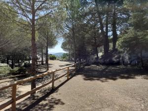 ImagenCamping TajoRodillo 9