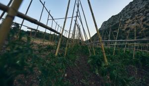 ImagenHotel Rural Cueva del Gato 4