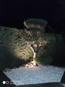 ImagenCasa Rural Los Cascajales 4