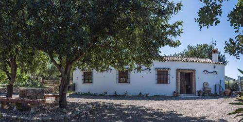 ImagenFinca el tesorillo 1