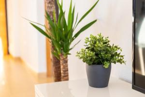 ImagenLuxe apartment with beautiful view 5