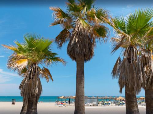 ImagenSegunda linea de playa brisa tropical 2