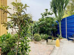 ImagenSegunda linea de playa brisa tropical 6