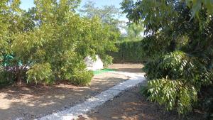 ImagenJardin de Karlitos 6