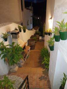 ImagenCasa Ignacio 3