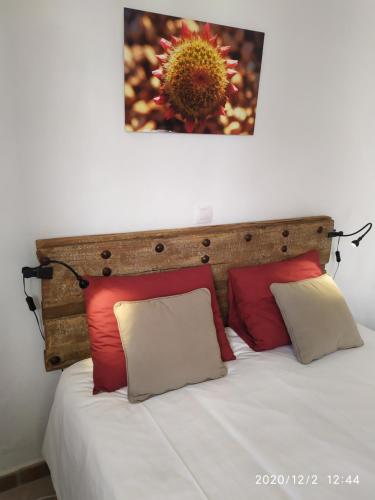 ImagenEl Asno Azul 2