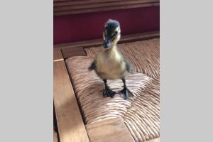 ImagenDonde parece que el Sol nace 4