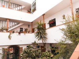 ImagenApartamentos Ruz 6