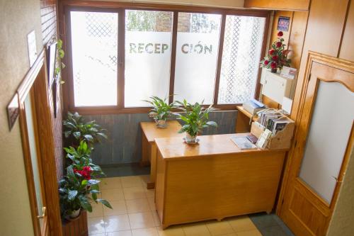 ImagenHostal La Palmera 2