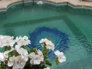 ImagenPalacio Doñana 4