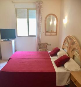 ImagenCHINASOL Low Cost 4