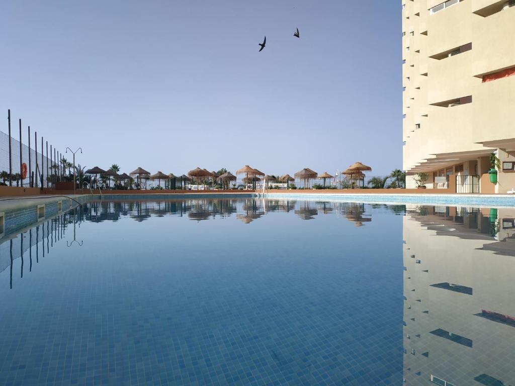 Apal Chinasolimagen principal