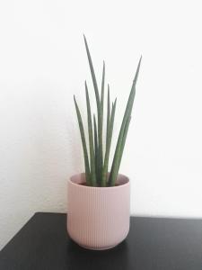 ImagenBalcón Al Mar 6