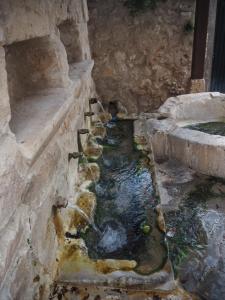 ImagenLa Fuensanta Hostal-Rural 4