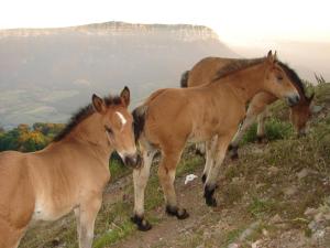 ImagenApartamentos LAZKANO I Y II 6