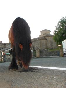 ImagenApartamentos LAZKANO I Y II 7