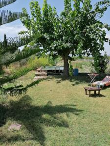 ImagenChilliman & Mas Miró Biofarm 5