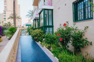 ImagenApartamentos Palm Court 6