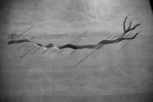 ImagenRuta Jacobea 4