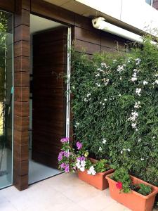 ImagenSantiago de Compostela 5