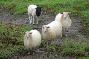 ImagenEn la colina 1 Montañealde 4