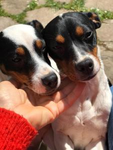 ImagenAgroturismo Anziola 7