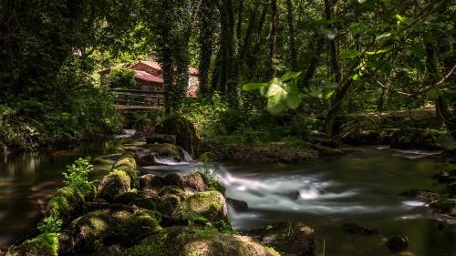 ImagenMolino Catasol 2