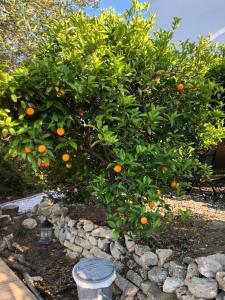 ImagenLa Hermosa Vista 6