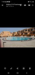 Imagenfuerteventura Complejo Bahía de sol con pisina 13