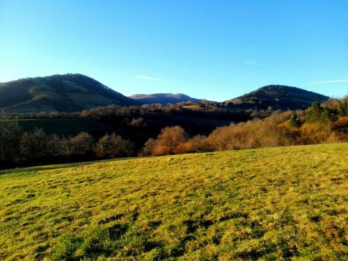 ImagenCasa Artegia 1