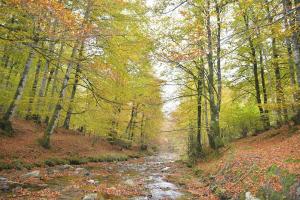 ImagenCasa Artegia 6