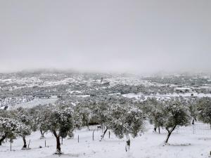 ImagenCasa Rural El Trepador Azul 4