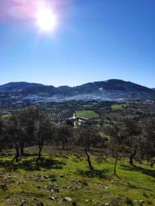 ImagenCasa Rural El Trepador Azul 6