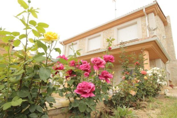 Casa Rural Ribera del Dueroimagen principal